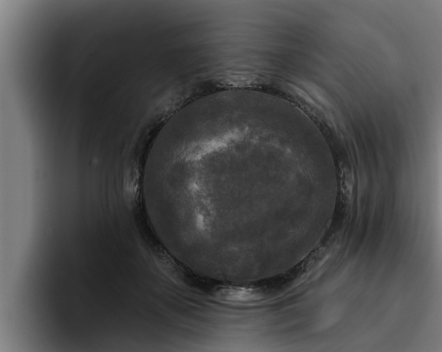 X0000094940507200712061234