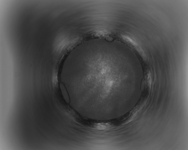 X0000094940508200712061234