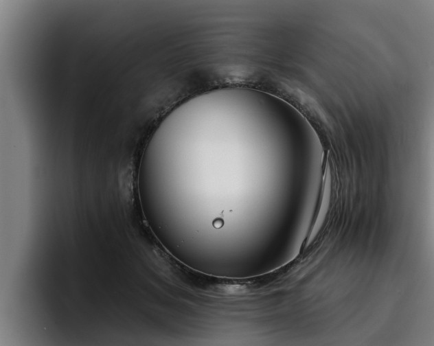 X0000094940509200712061234