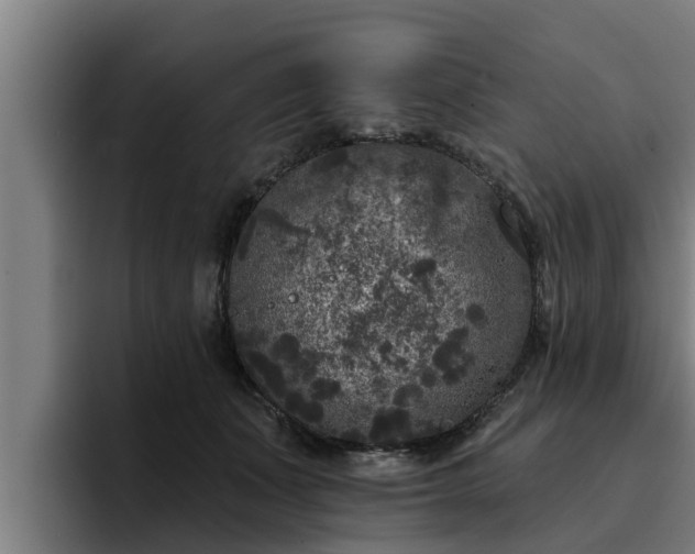 X0000094940511200712061234