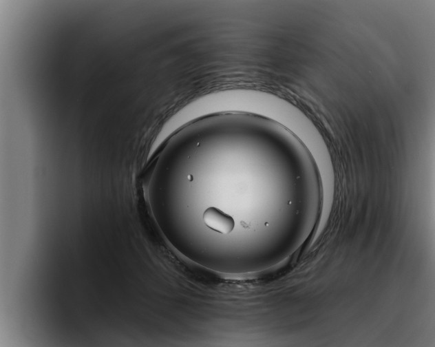 X0000094940512200712061234