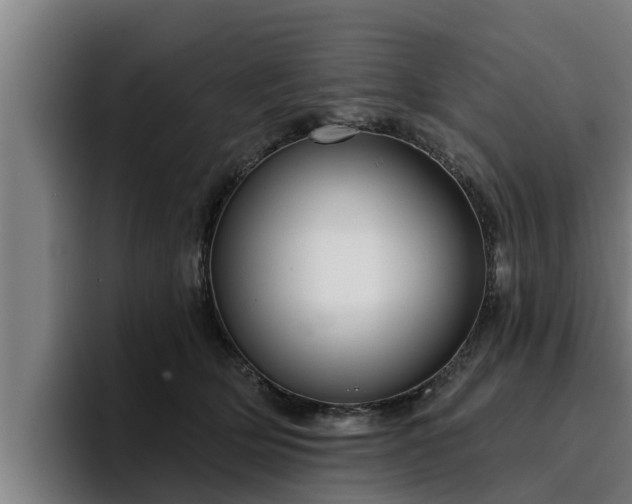 X0000094940514200712061234