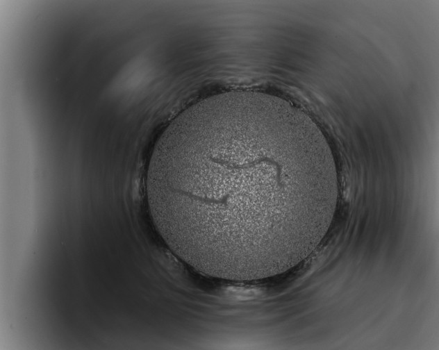 X0000094940515200712061234