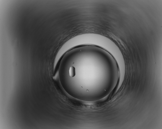 X0000094940517200712061234