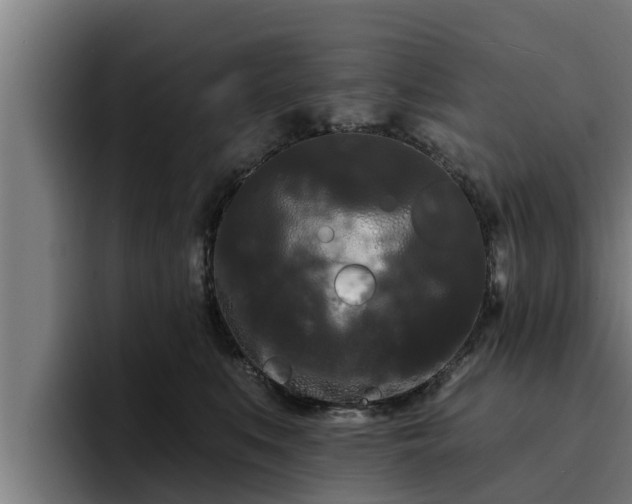 X0000094940519200712061234