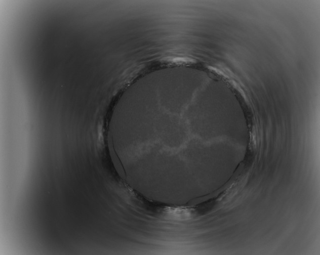 X0000094940520200712061234