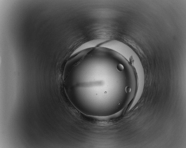 X0000094940521200712061234