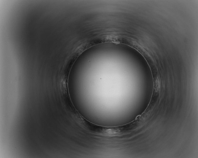 X0000094940522200712061234