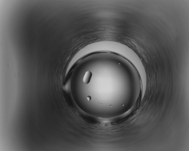 X0000094940524200712061234