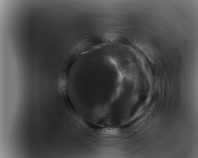 X0000094940526200712061234