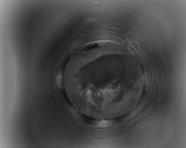 X0000094940527200712061233