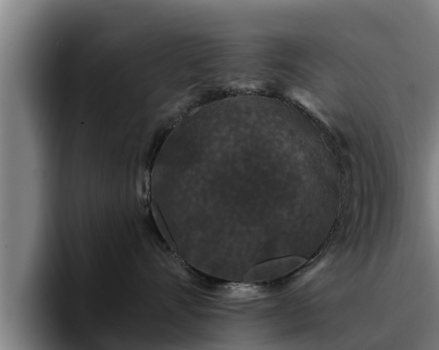 X0000094940528200712061233