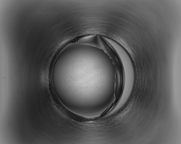 X0000094940530200712061233