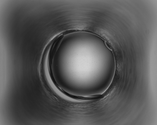 X0000094940532200712061233