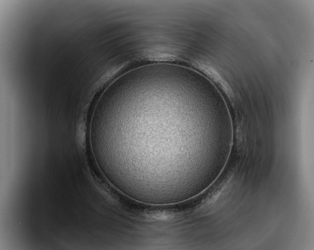 X0000094940533200712061233