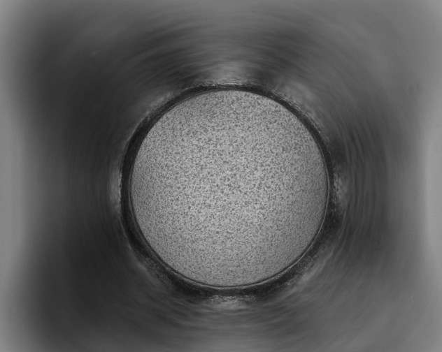 X0000094940534200712061233