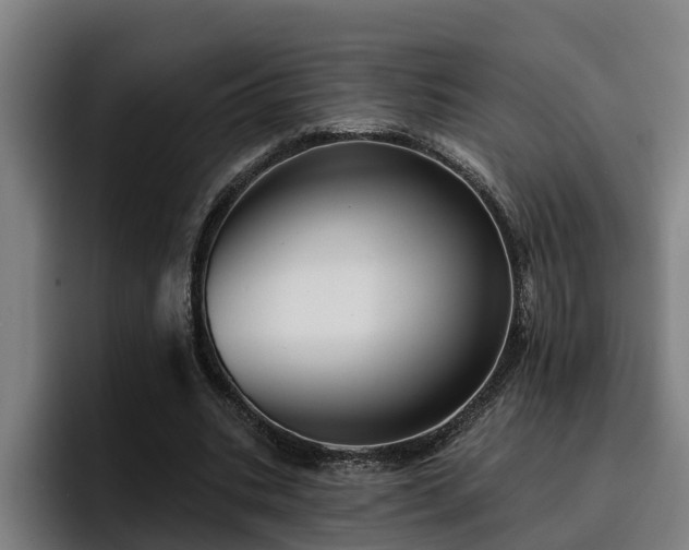 X0000094940535200712061233