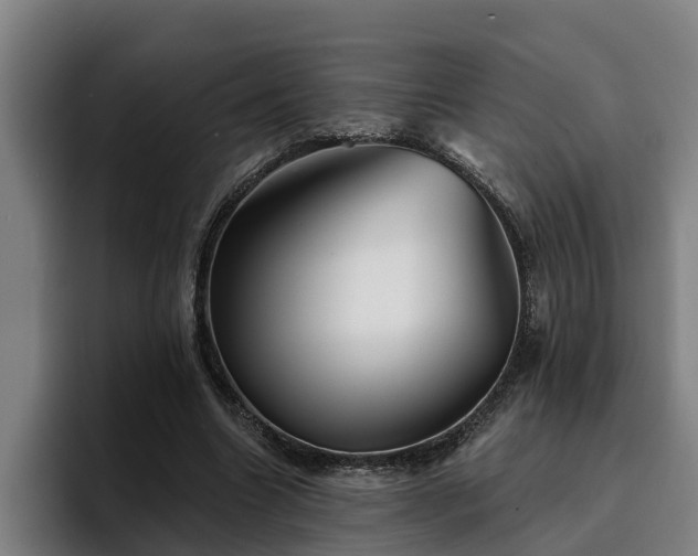 X0000094940538200712061233