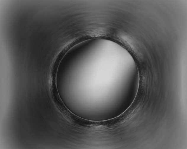 X0000094940539200712061233