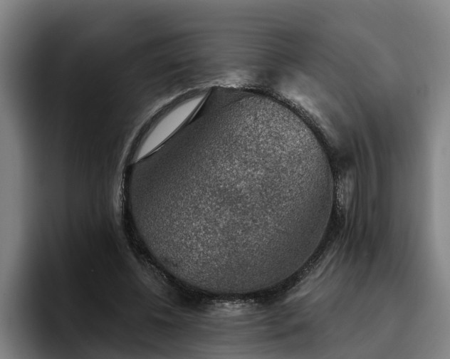 X0000094940540200712061233