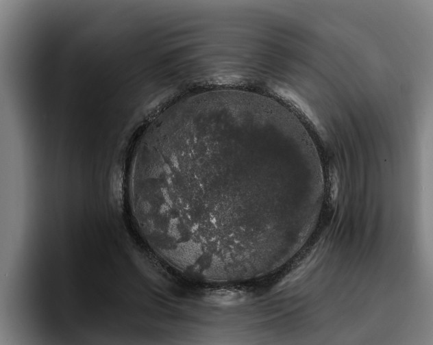 X0000094940542200712061233