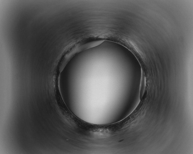 X0000094940543200712061233