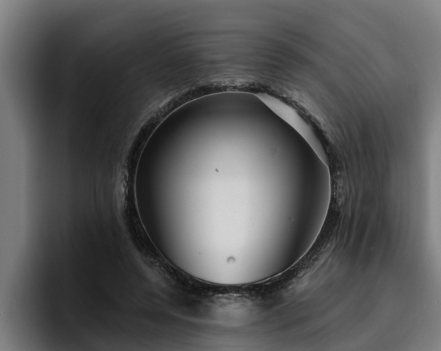 X0000094940544200712061233