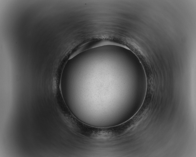 X0000094940546200712061233