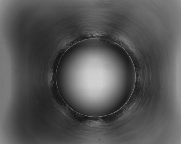 X0000094940548200712061233