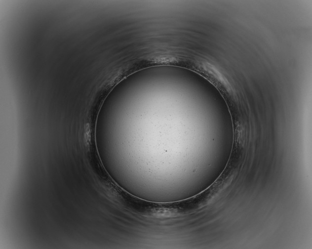 X0000094940549200712061233