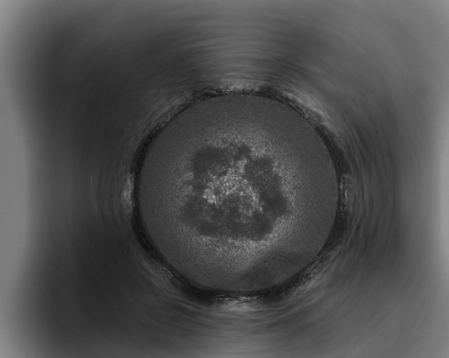 X0000094940550200712061233