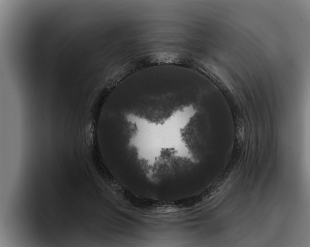 X0000094940551200712061233