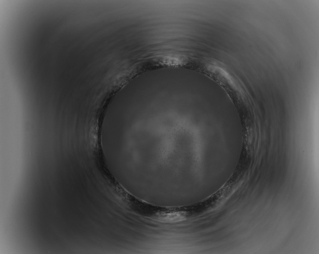 X0000094940553200712061233