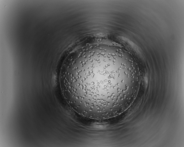 X0000094940556200712061233