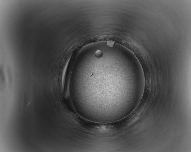 X0000094940558200712061233