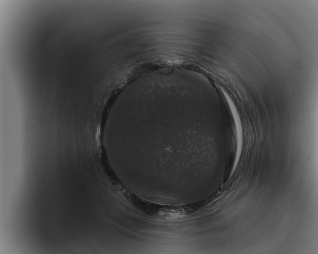 X0000094940559200712061233