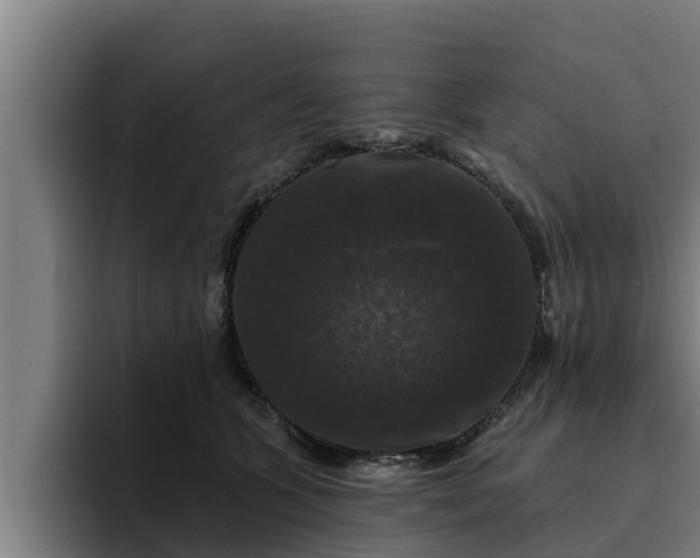 X0000094940563200712061233