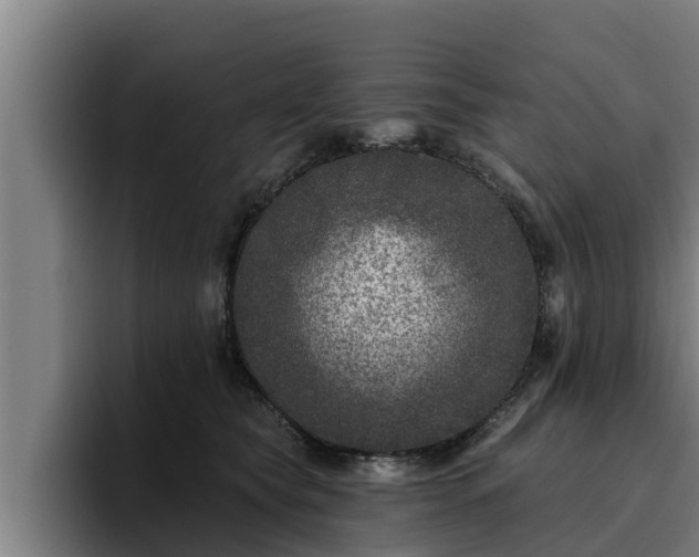 X0000094940565200712061233