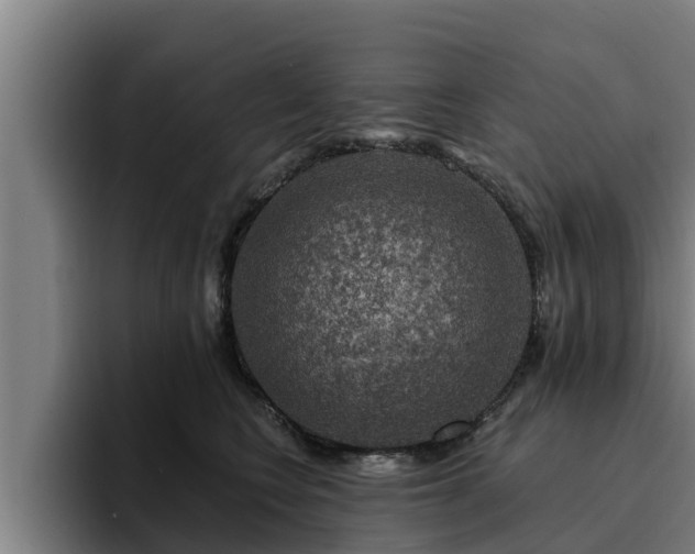 X0000094940566200712061233