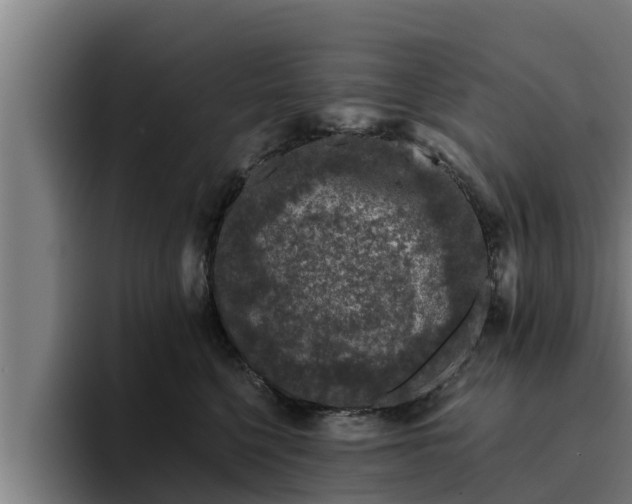 X0000094940568200712061233