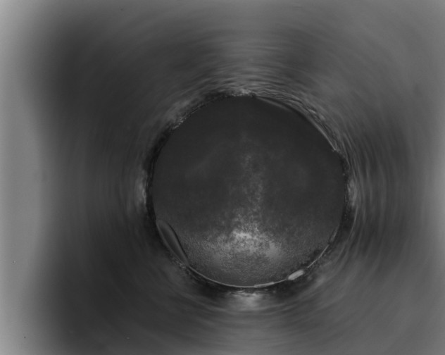 X0000094940570200712061233