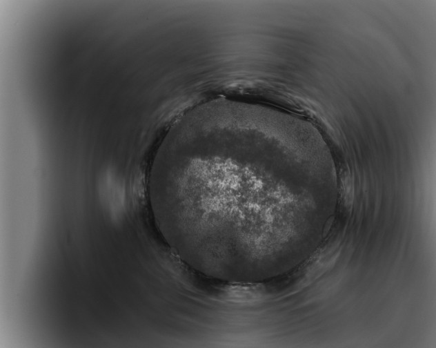 X0000094940571200712061233