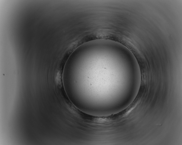 X0000094940575200712061233