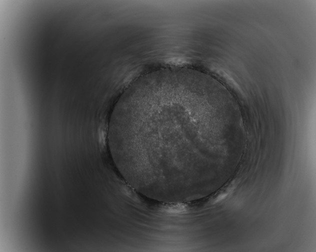 X0000094940576200712061233