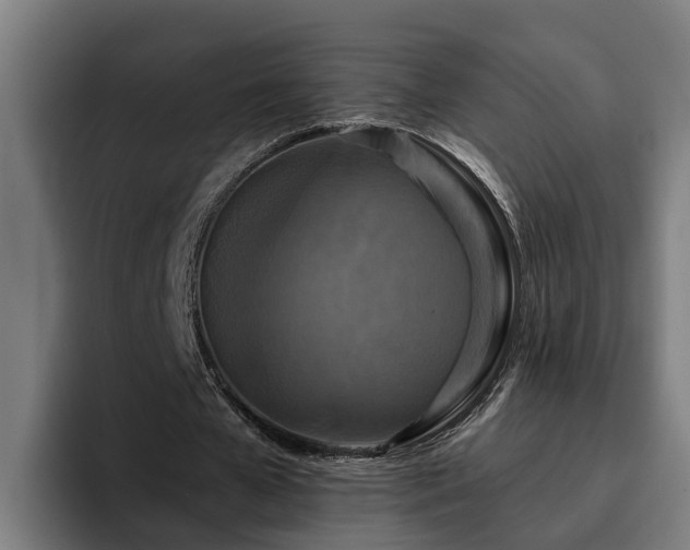 X0000094940577200712061233