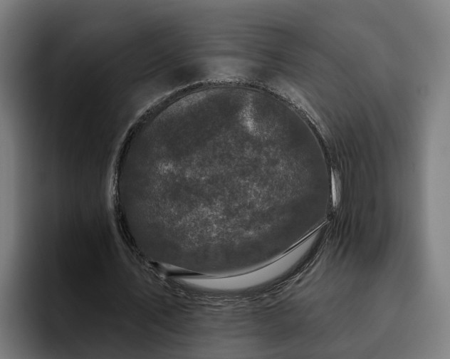 X0000094940579200712061233