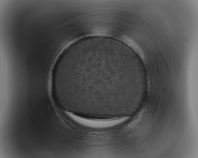 X0000094940580200712061233