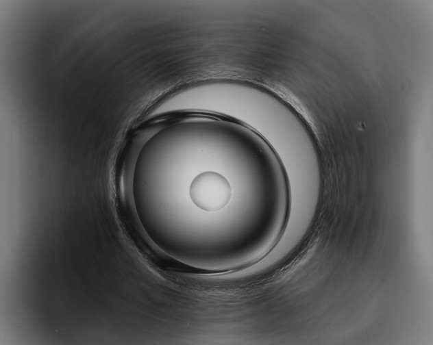 X0000094940581200712061233