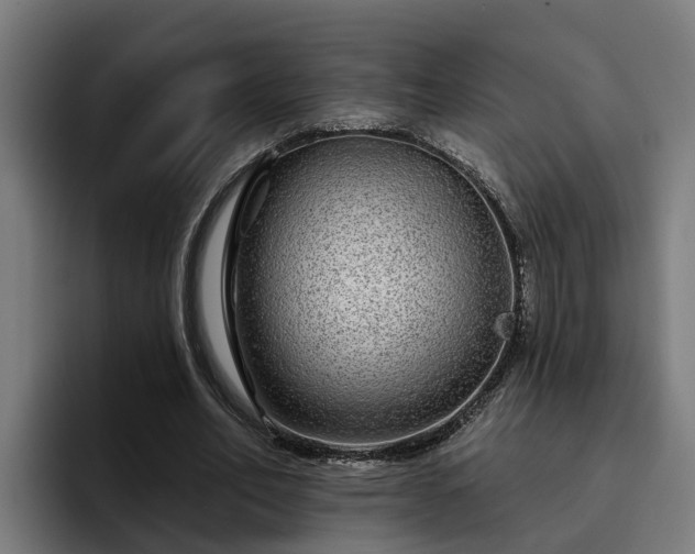 X0000094940582200712061233