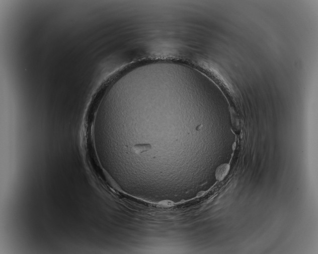 X0000094940583200712061233